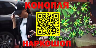МДПВ Пугачёв