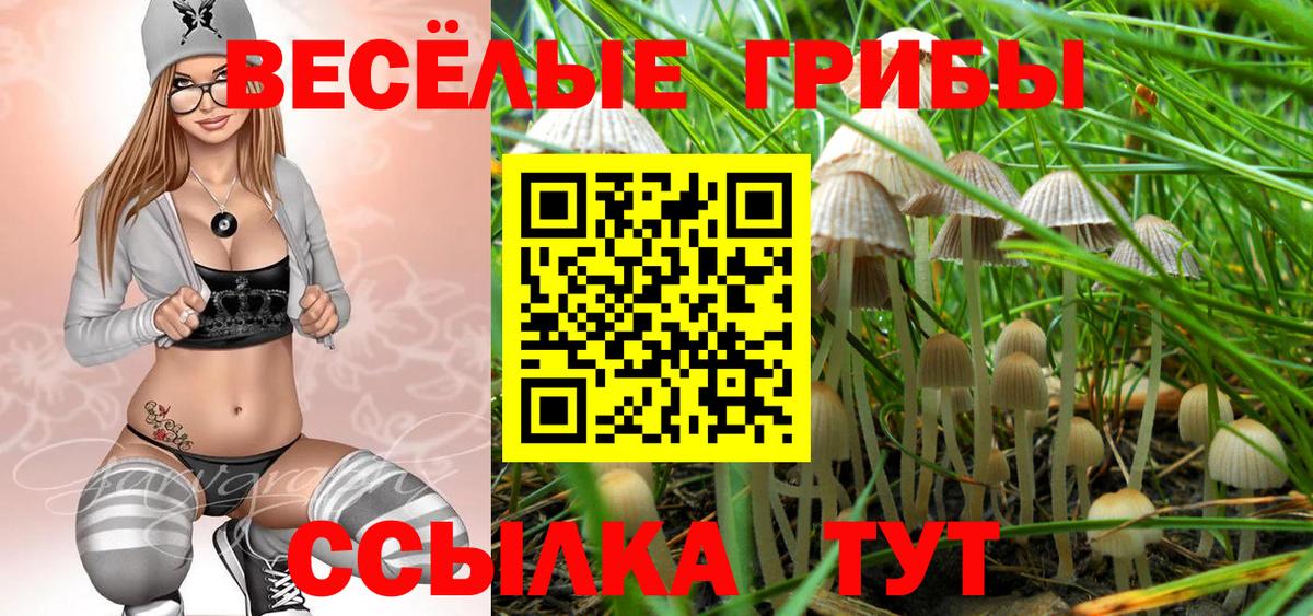 Галлюциногенные грибы мухоморы  Вход с VPN  где найти   Галлюциногенные грибы прущие грибы  Алексин 