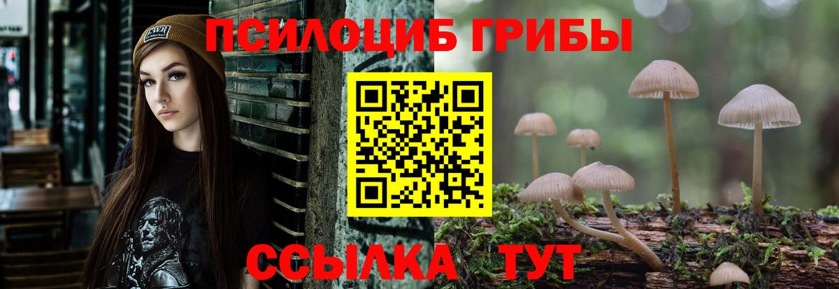 Галлюциногенные грибы GOLDEN TEACHER Алексин
